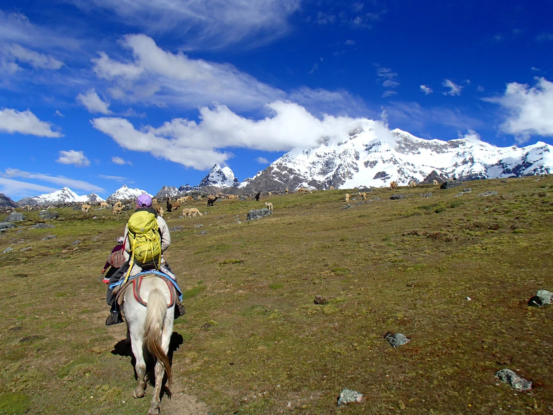 Cabalgata en alta montaña frente al Ausangate